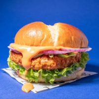 Potato Burger Buns | 30stuks &agrave; 80gr p/doos - 2,4kg netto